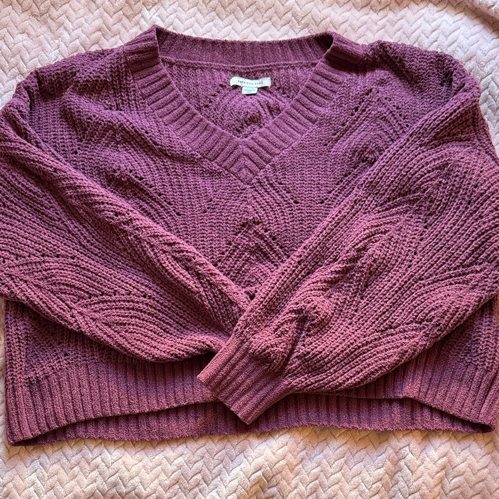 American Eagle Outfitters V-Neck Sweater in Plum